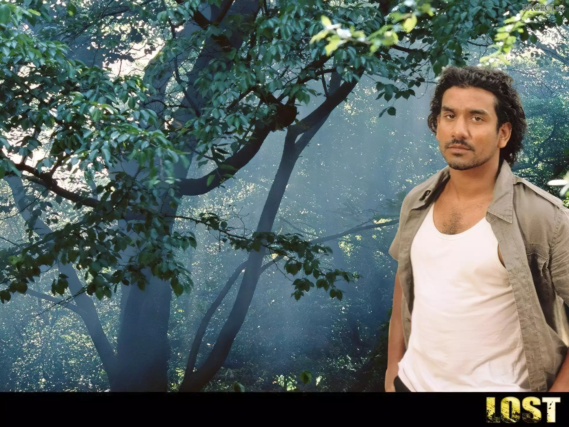 Naveen Andrews, mgła, Filmy Lost, las